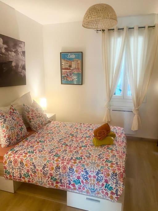 Appartement Neuf Cosy Centre Ville Quartier Haut Sète Dış mekan fotoğraf